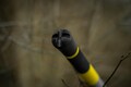 Black Cat Perfect Passion X Vertical Meervalhengel 1.90m (240g) (1-Delig)
