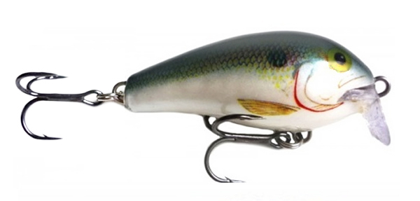 Rapala Shallow Fat Rap - 5cm - Shad