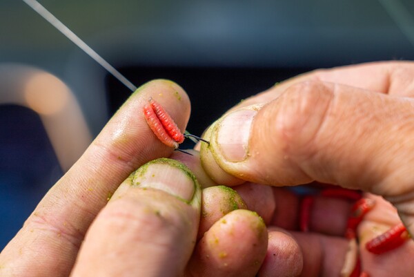 Guru Pole Special Barbed Anzuelos (10 pzas.)