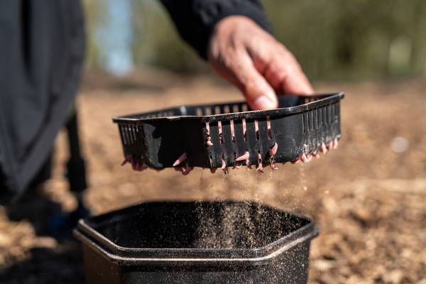 Zebco Secure-Lock Caja De Cebo de 2 L (incl. tamiz)