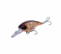 Ultimate Trout Lure Set de Caña