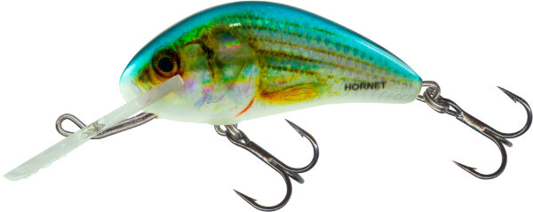 Zestaw Okoniowy z woblerami Salmo Hornet, Minnow, Bullhead + Pudełko - Hornet 5cm F - Uv White Bass