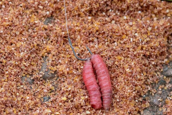 Preston XFS-B Coarse Hooks (Barbless) (10pcs)