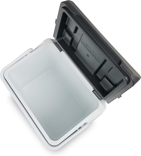 Igloo IP27 Cooler Box (27L)