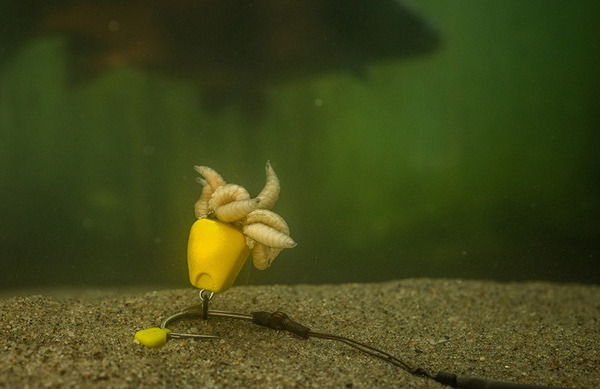 Pole Position Corn Maggotclip Single (5pcs)