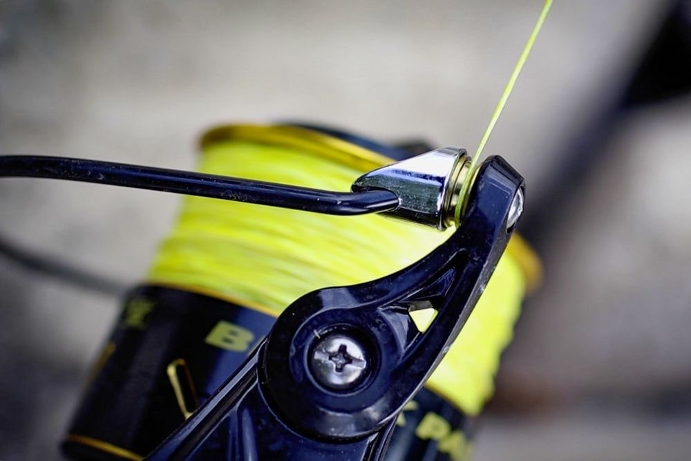 Black Cat Black Passion FD 50 – Mulinello Da Pesca In Alluminio Per Siluro E Spinning – Freno 6,5 Kg – 5 Cuscinetti – Rapporto 5,0:1
