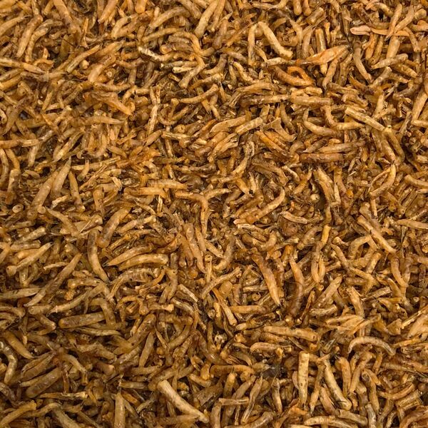 Vivani Gusanos Secos - 450 gramos