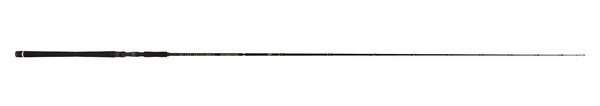 Illex The Artist X5 B 250 XH Notorious Pike Baitcaster 2.51m (150g)