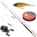 Ultimate Pike Baitcasting Set