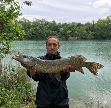 Le précédent gagnant