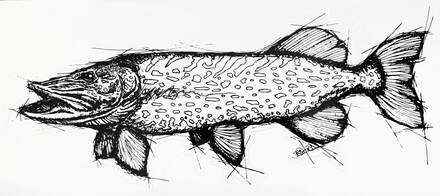 EBH Arts Pike Sketch Fishing Sticker XL (Geschikt Voor Op Auto's/Boten)