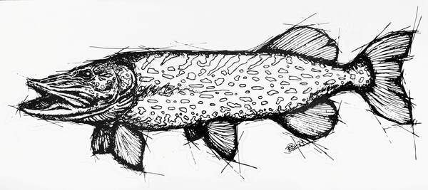 EBH Arts Pike Sketch Fishing Sticker XL (Geschikt Voor Op Auto's/Boten)
