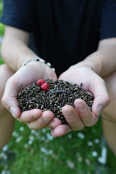 Tactic Carp Trigger Tigernut Wafters