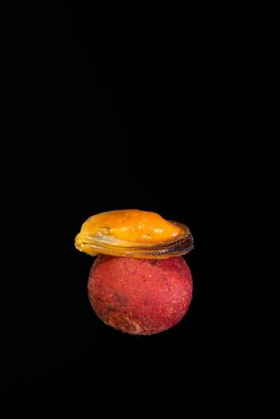 Subgrubs Mossel Natural Hookbait (200g)