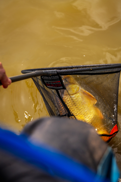 Preston Carbon Hair Mesh Landingsnet