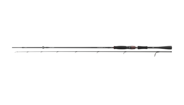 Canne spinning Daiwa Tournament AGS Jigger