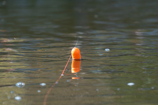 Ultimate Predator Float Inline