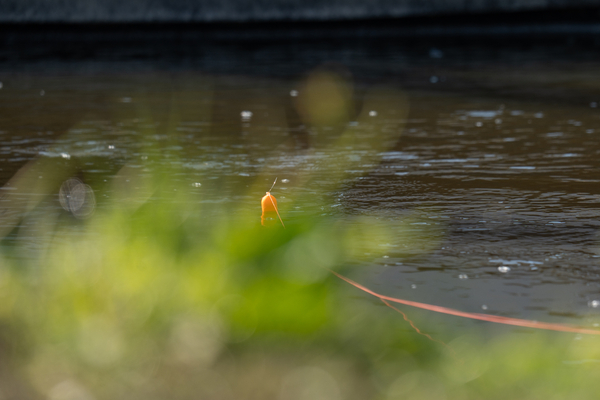 Ultimate Predator Float Inline