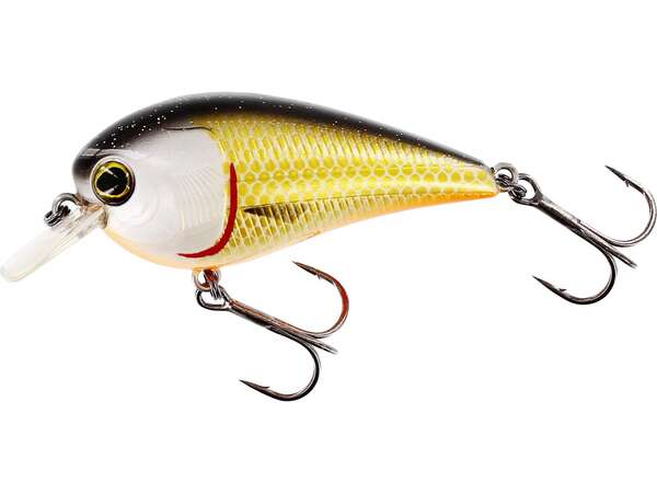 Westin BassBite 2.5 Squarebill Floating Lure 7cm (16g) - Official Roach