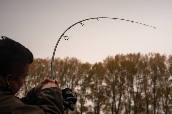 Grade N-Dorser Penhengel 12ft (2.75lb)