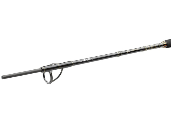 Daiwa BG Offshore Pilk Boat Rod