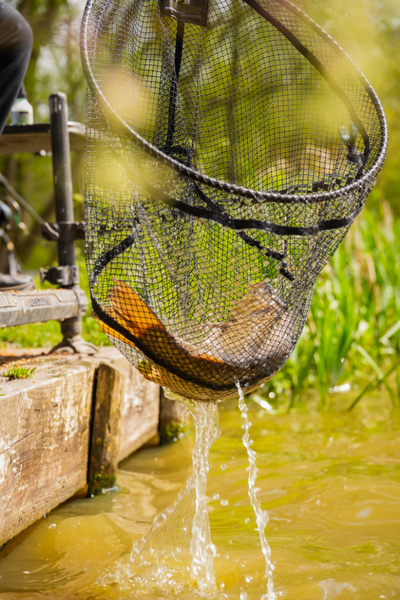 Preston Carbon F1 Latex Landingsnet