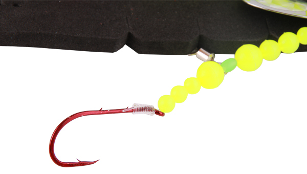 Aquantic Pearl Plattfisch