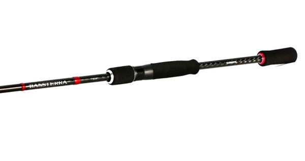 Shimano Bassterra LRF Zeevis Spinhengel