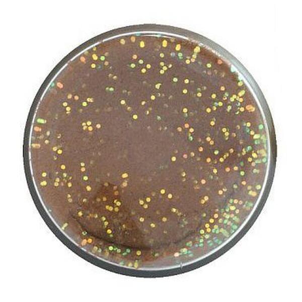 Berkley PowerBait® Natural Glitter Trout Dough 50g - Fish Pellet Glitter