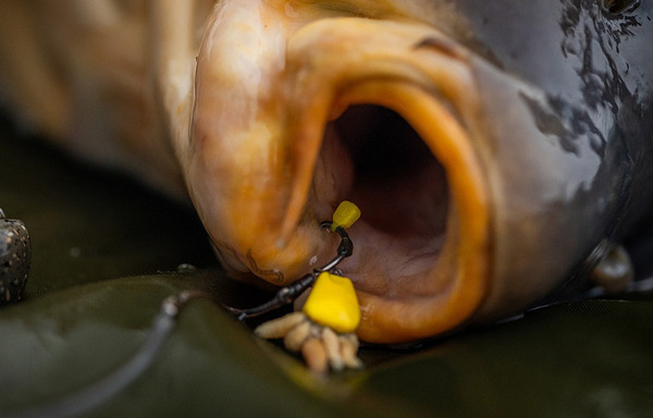 Pole Position Tungsta Corn Shot On The Hook (8pcs)