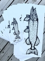 EBH Arts Pike Sketch Fishing Sticker XL (Geschikt Voor Op Auto's/Boten)