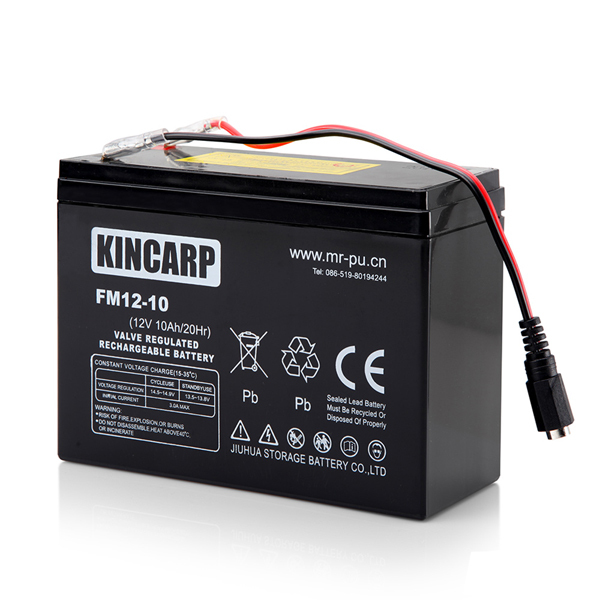 BearCreeks Scavenger Pro Bote Alimentador Litio + GPS Sistema-Piloto Automático