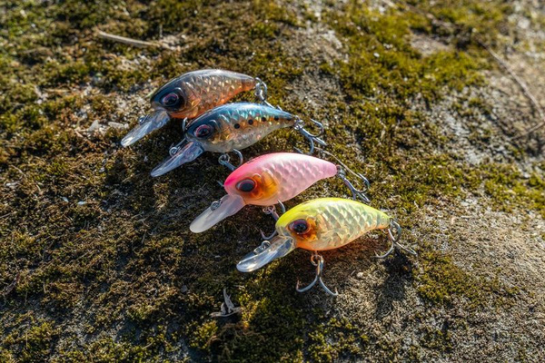 Ultimate X-Chunk Shallow Plug 4.3cm (6g)