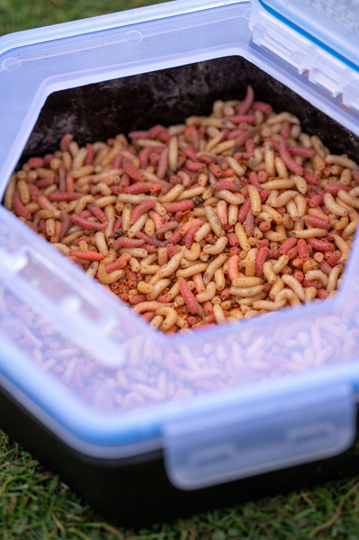 Zebco Secure-Lock Caja De Cebo de 2 L (incl. tamiz)