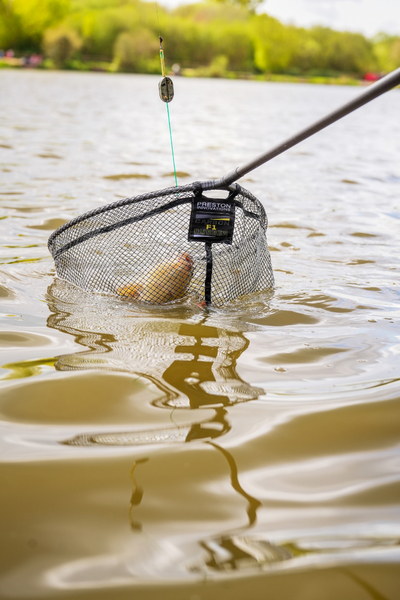 Preston Carbon F1 Latex Landingsnet