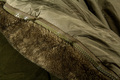 Sac de couchage multicouche 5 saisons Deeprest AIM