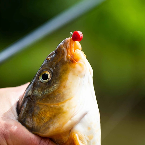 Fjuka 2in1 Fatboys 10mm 195gr Red