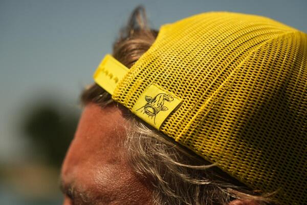 Black Cat Black And Yellow Trucker Cap