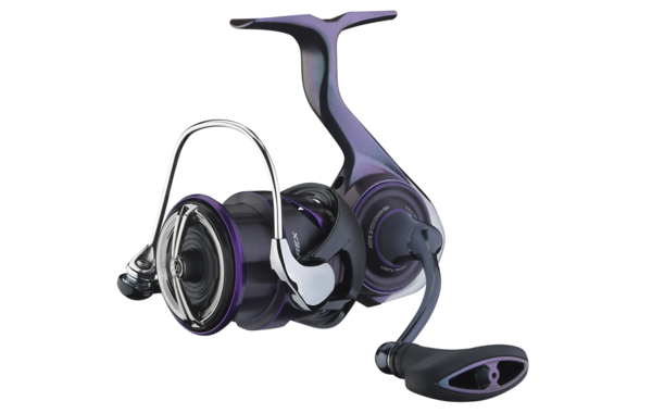 Daiwa 25 Prorex MQ Spinmolen