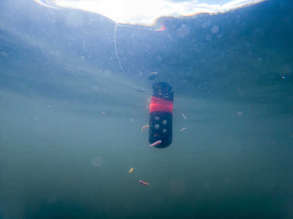 Spławik Korum Floating Feeder (3g)