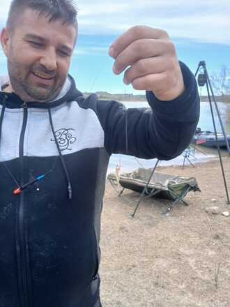 Ganador anterior