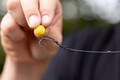 Korda Spinner D Rig Kickers Green/Brown (10 Pieces)
