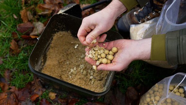 Tactic Carp Instant Maggot Pack