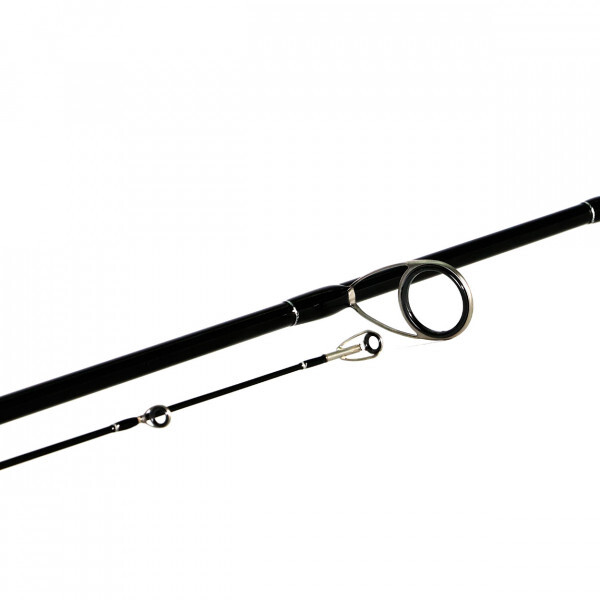 Shimano Bassterra Sea Bass