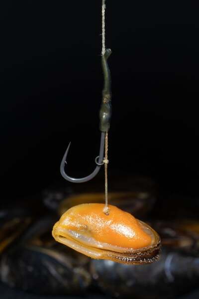 Subgrubs Mossel Natural Hookbait (200g)