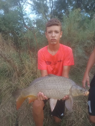 Ganador anterior