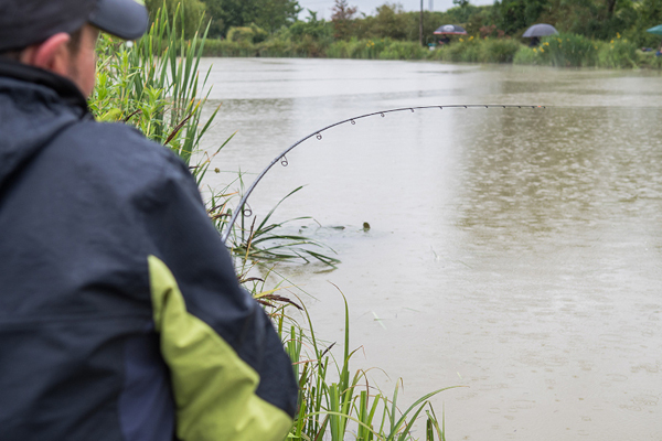Matrix Ethos XRC Bomb