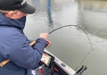 Patriot Ace Deadbait Doodaashengel 12ft/3.64m (2.75lb)