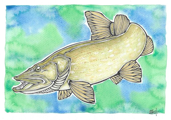 EBH Arts Poster Pike (Framed)