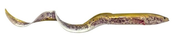 Savage Gear Real Eel 40cm (147g)  - Chameleon Eel
